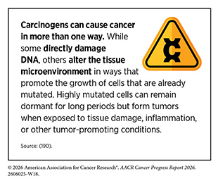 Carcinogens can cause cancer in more than one way. While some directly damage DNA, others alter the tissue microenvironment in ways that promote the growth of cells that are already mutated.