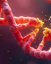 Understanding the Path to Cancer Development – CPR26